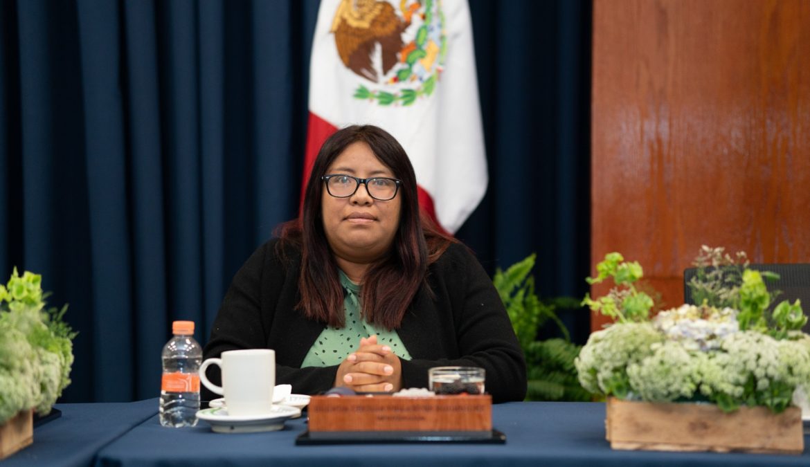 “Feminicidios y narcomenudeo temas que preocupan a la ciudadanía”: diputada Brenda Cecilia Villantes Rodríguez