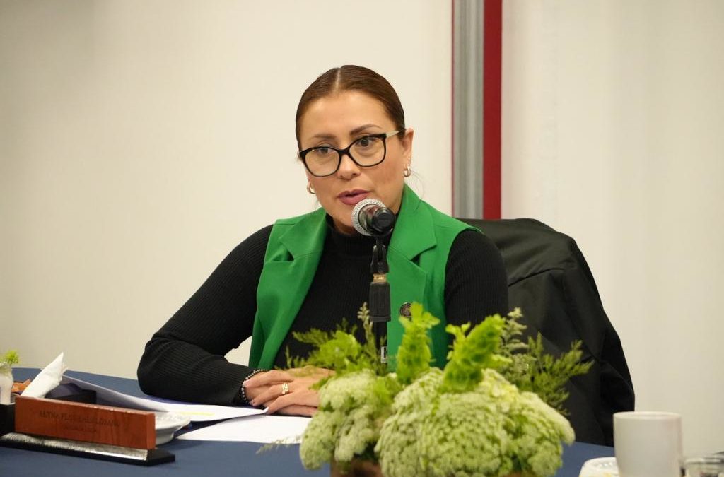 “Es necesario fortalecer la difusión de programas de financiamiento”: diputada Reyna Flor Báez Lozano