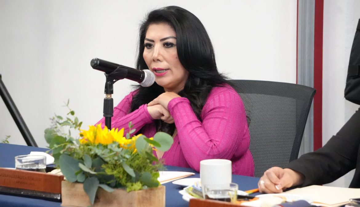 Garantizar cuotas justas a las MiPyMES debe ser prioridad: diputada Laura Alejandra Ramírez Ortiz