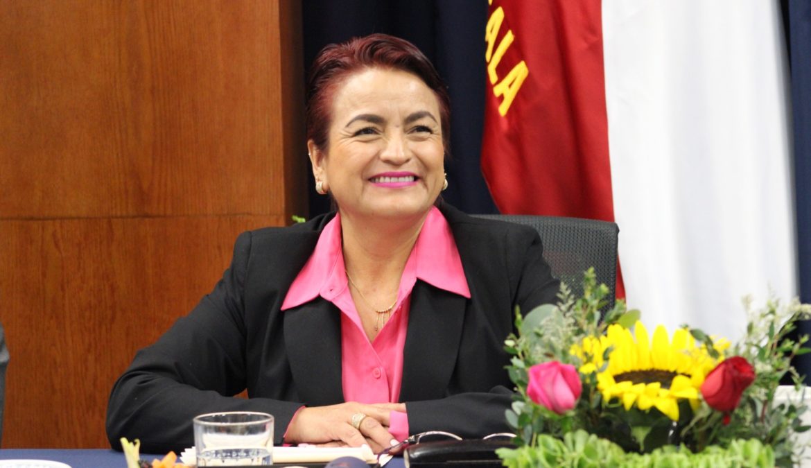 Necesaria la profesionalización de los sectores productivos: diputada Guillermina Loaiza Cortero