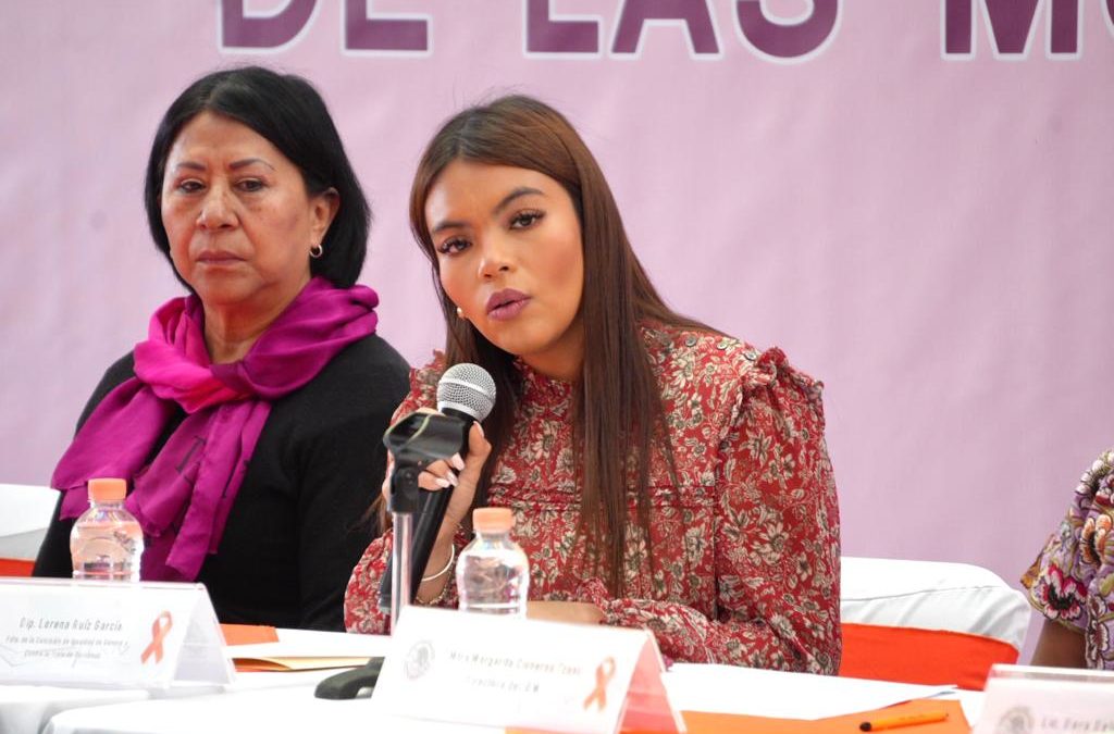 “El acceso al aborto seguro, salva vidas, restringirlo no ayuda”: diputada Lorena Ruiz García