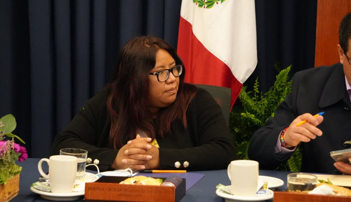“Tenemos que saber el destino de las aportaciones que llegan al Estado”: diputada Brenda Cecilia Villantes Rodríguez