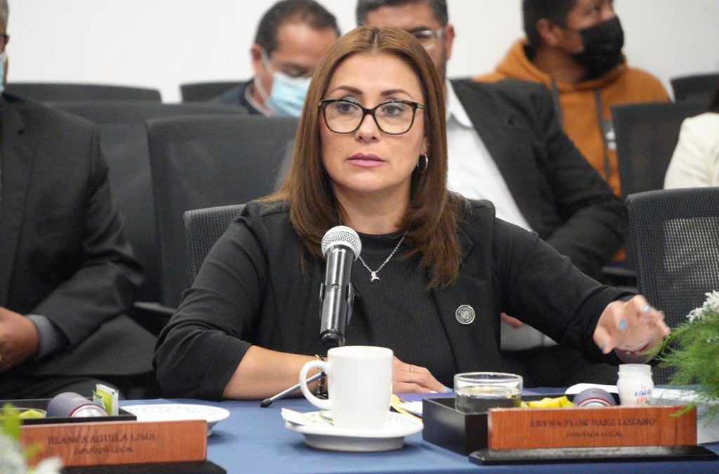 Se deben eficientar las estrategias en materia de género: diputada Reyna Flor Báez lozano