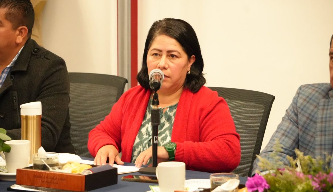 Cuestiona diputada Blanca Águila obras en materia de salud
