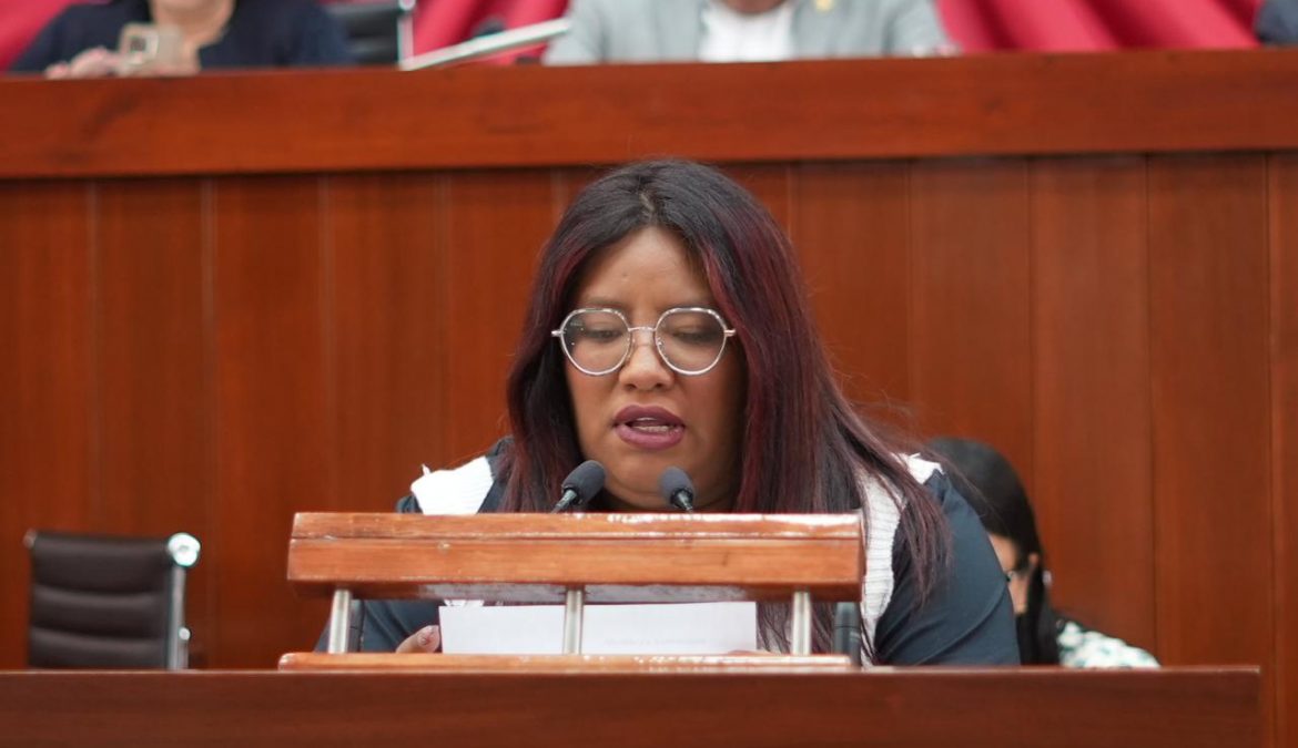 Plantea diputada Brenda Cecilia Villantes Ley para fortalecer disciplina y derechos humanos en seguridad ciudadana