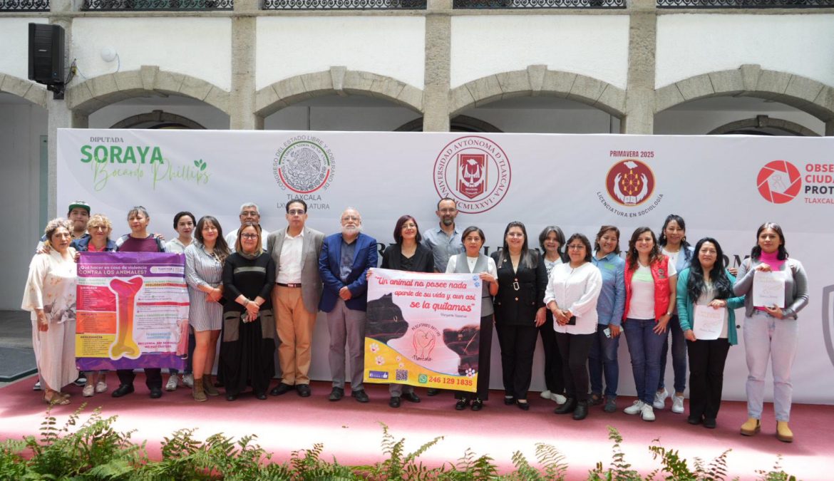 Analizan en el Congreso el maltrato animal