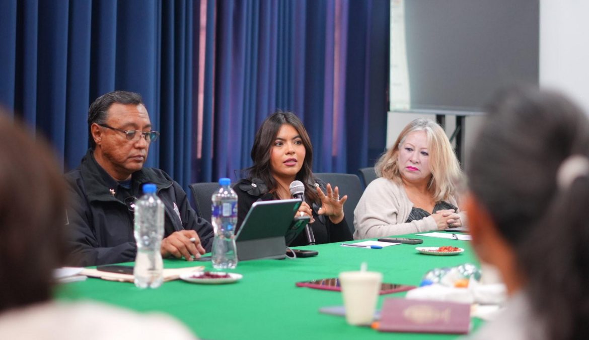 Preside Lorena Ruiz sesión del Observatorio Feminista de Tlaxcala