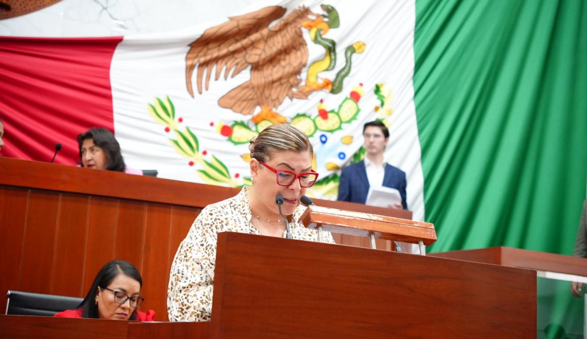 Con diversas reformas propone Sandra Aguilar proteger el acceso de menores a internet