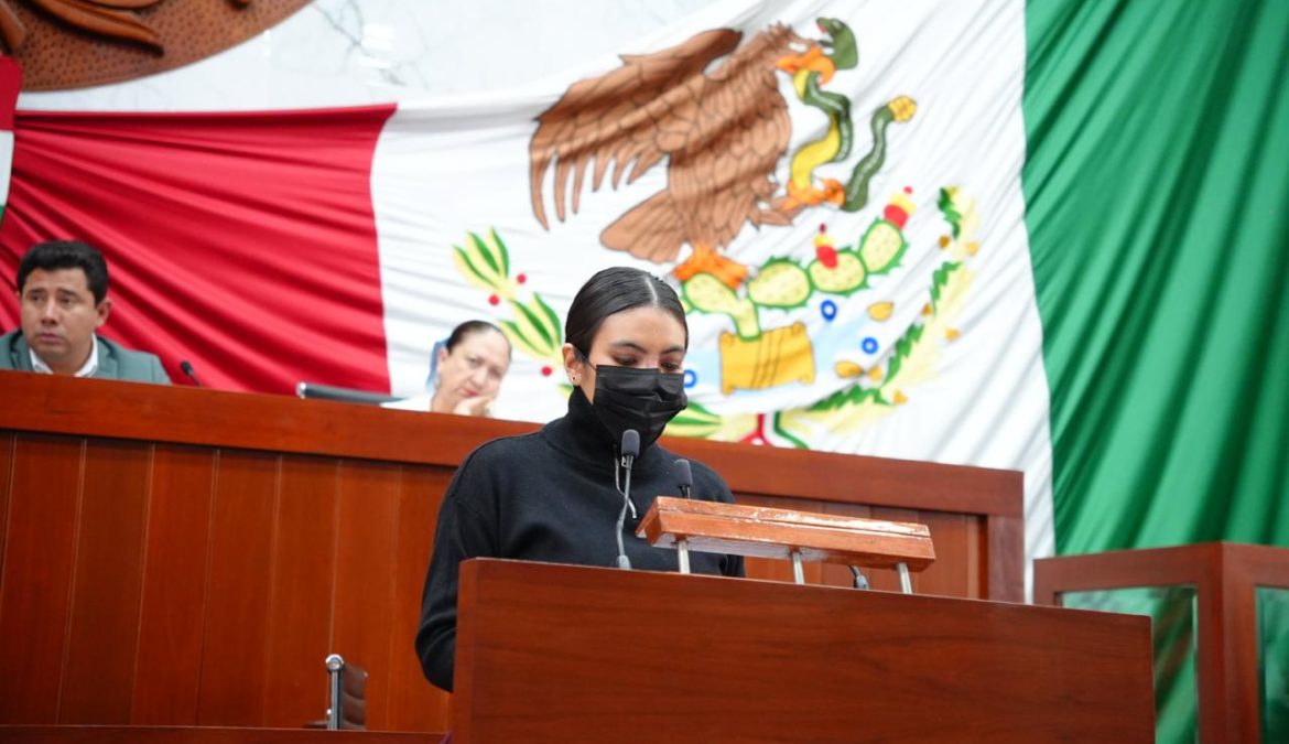 Propone Lorena Ruiz reformar el Código Penal con perspectiva de discapacidad Propone Lorena Ruiz reformar el Código Penal con perspectiva de discapacidad