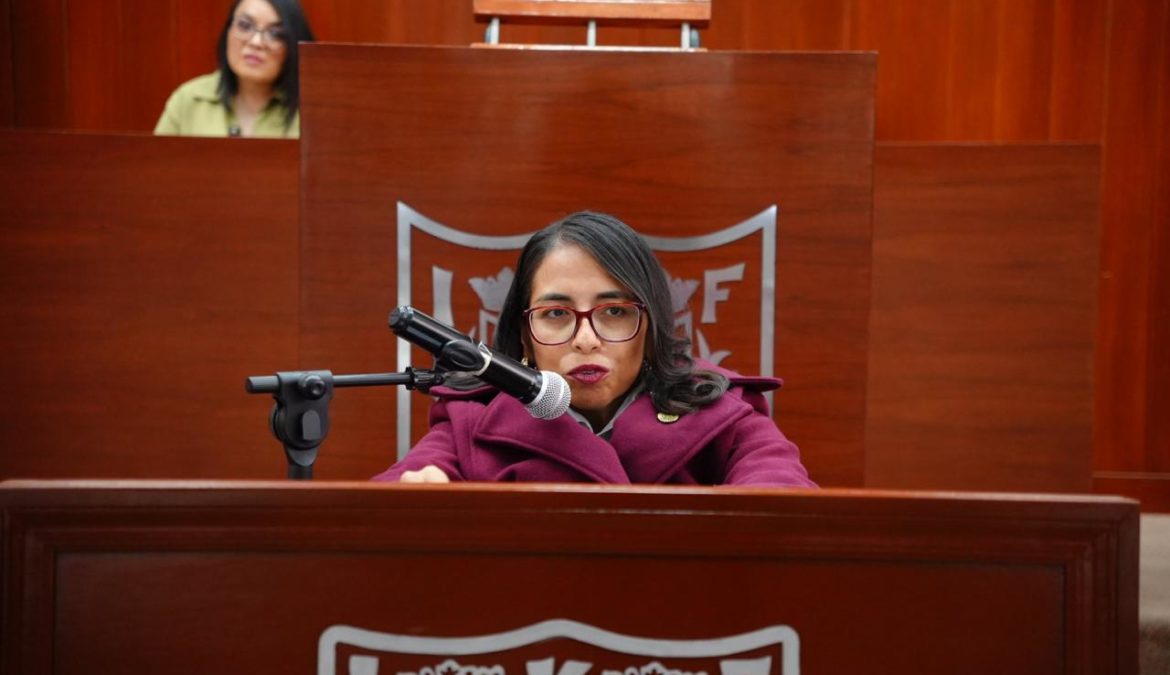 Presenta Gabriela Hernández exhorto para ampliar espacios de estacionamiento para personas con discapacidad y movilidad limitada